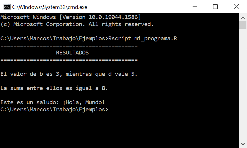 Correr el programa de R desde la consola en Windows.